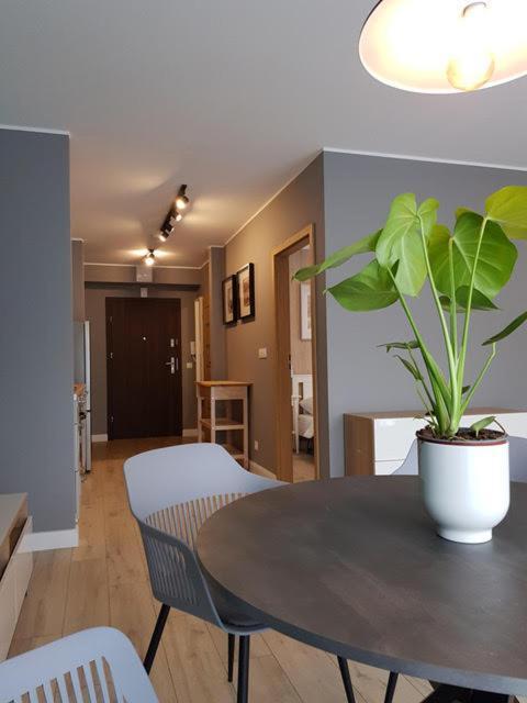 Apartament Triventi 88 Z Widokiem Na Sniezke - 5D Apartamenty Karpacz Esterno foto